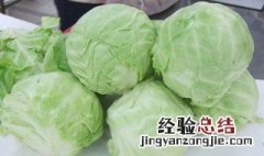 包菜怎么洗才干净视频 怎么洗包菜