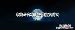 广东省东莞市公交车可以微信支付吗 东莞公交车可以微信支付吗