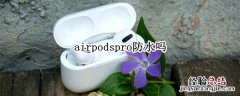 airpodspro防水吗,进洗衣机了 airpodspro防水吗