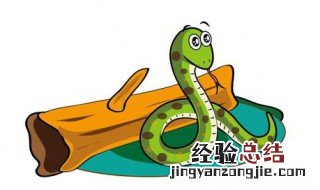 属蛇女和什么属相最配对 属蛇和什么属相最配
