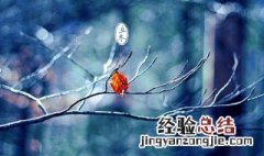 冬至节气出生的人 立冬节气出生的人是什么命