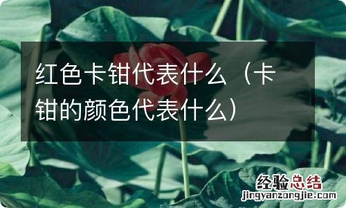 卡钳的颜色代表什么 红色卡钳代表什么