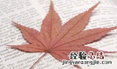 努力拼搏正能量的句子 能够描写努力拼搏正能量的句子