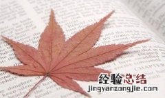 夸奖一个人有才华的句子 夸奖一个人有才华唯美句子怎么写