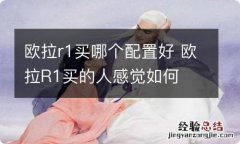 欧拉r1买哪个配置好 欧拉R1买的人感觉如何