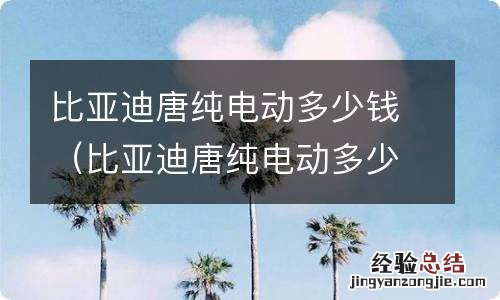 比亚迪唐纯电动多少钱,国家补贴多少 比亚迪唐纯电动多少钱