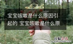 宝宝咳嗽是什么原因引起的 宝宝咳嗽是什么原因引起的怎么办