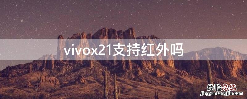 vivox21支持红外吗 vivox21支持红外线功能吗