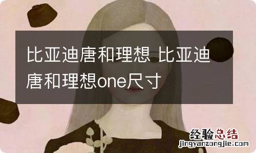 比亚迪唐和理想 比亚迪唐和理想one尺寸