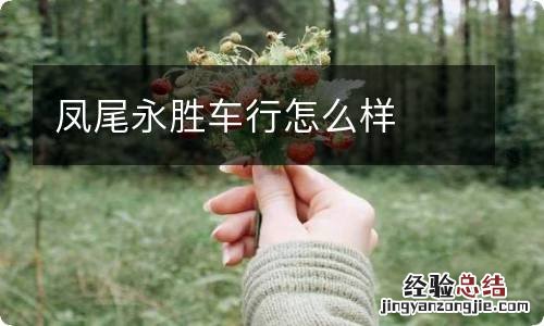 凤尾永胜车行怎么样