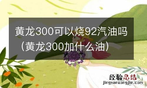 黄龙300加什么油 黄龙300可以烧92汽油吗