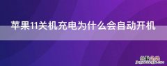 iphone11为什么关机以后充电会自动开机 iPhone11关机充电为什么会自动开机