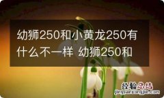 幼狮250和小黄龙250有什么不一样 幼狮250和小黄龙250有什么不一样的