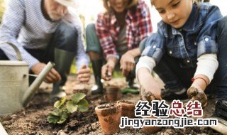 废弃植物属于什么垃圾 废弃植物属于什么垃圾分类