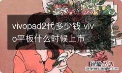 vivopad2代多少钱 vivo平板什么时候上市