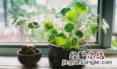 家里面财位摆放什么 家里的财位放什么好