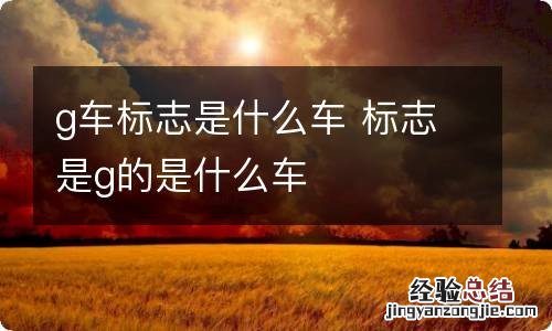 g车标志是什么车 标志是g的是什么车