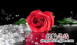 家庭盆栽废弃的树叶属于什么垃圾 家庭盆裁废弃的树叶属于什么垃圾