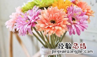 什么花能放在卧室 什么花能放在卧室安眠