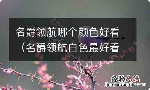 名爵领航白色最好看 名爵领航哪个颜色好看