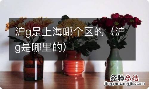 沪g是哪里的 沪g是上海哪个区的