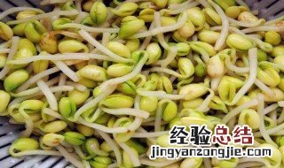 黄豆发芽的正确方法 黄豆发芽的正确方法是什么