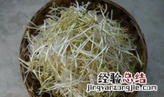 自种绿豆芽的种植方法 绿豆芽家族种植方法分享