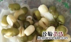 绿豆放在水里发芽方法视频 绿豆放在水里发芽方法