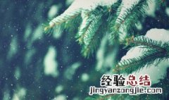 适合在下雪天发的心情短语 下雪时候的心情短语