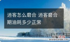 逍客怎么磨合 逍客磨合期油耗多少正常