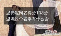 温安妮网名得分103分 温妮这个名字有什么含义