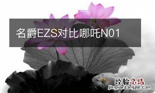 名爵EZS对比哪吒N01