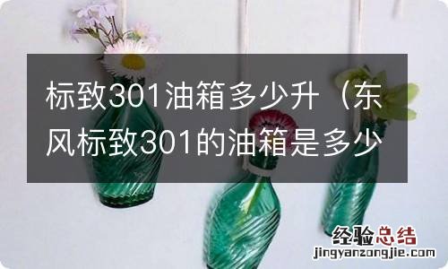 东风标致301的油箱是多少升 标致301油箱多少升