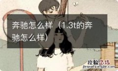 1.3t的奔驰怎么样 奔驰怎么样