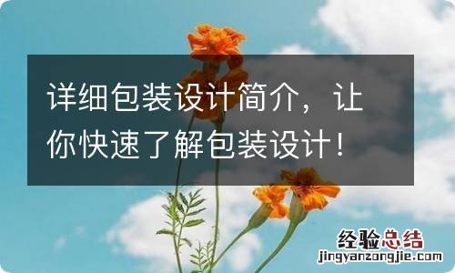 详细包装设计简介,让你快速了解包装设计!