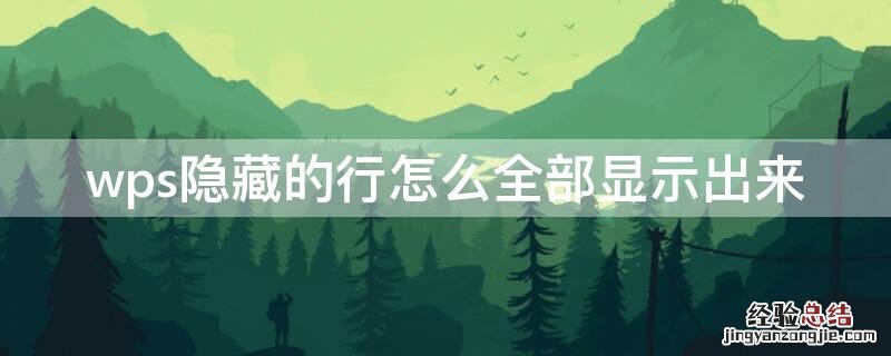 wps隐藏的行怎么全部显示出来 wps有的行隐藏起来了怎么弄