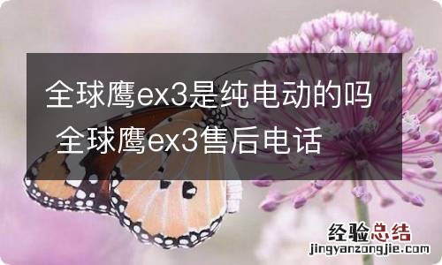 全球鹰ex3是纯电动的吗 全球鹰ex3售后电话