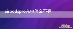 airpodspro充电怎么不亮