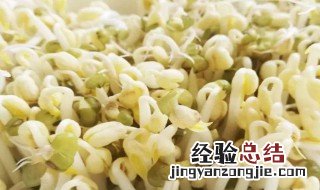 绿豆芽长出小叶能吃吗 绿豆芽长出小叶能吃吗视频