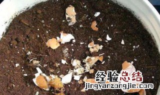 蛋壳磨碎后怎么做肥料呢 蛋壳磨碎后怎么做肥料