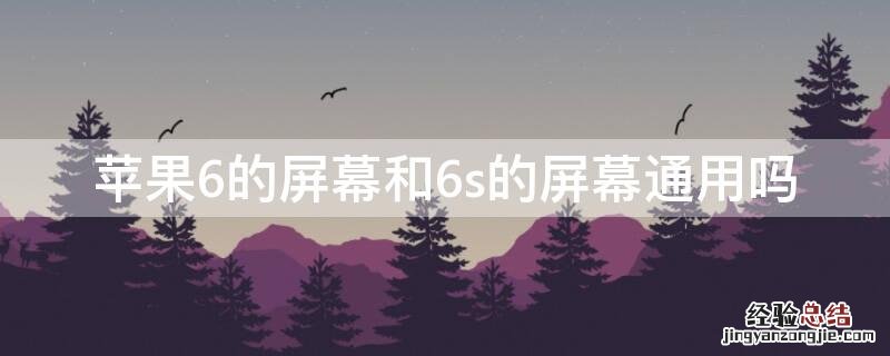 苹果6和苹果6s的屏幕通用吗 iPhone6的屏幕和6s的屏幕通用吗