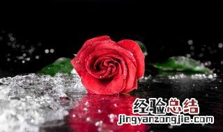 红玫瑰花风干方法图解 红玫瑰花风干方法