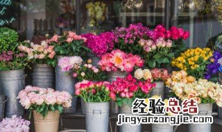 每个国家的国花是什么花 每个国家的国花是什么花的文化差异