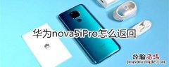 华为nova5iPro怎么返回