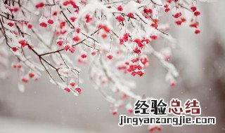 下雪的微信朋友圈说说 微信朋友圈下雪说说大全