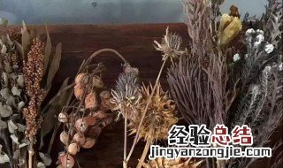 麦穗干花制作方法 麦穗干花怎么制作