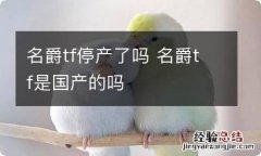 名爵tf停产了吗 名爵tf是国产的吗