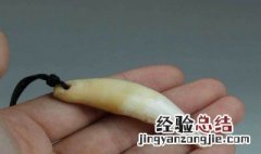 豹猫牙齿的用途 豹牙的养护