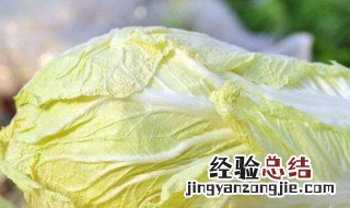 白菜心有点烂外面好的能吃吗视频 白菜心有点烂外面好的能吃吗