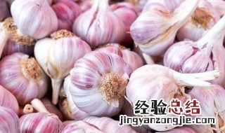 大蒜恒温库保存多久 大蒜头恒温冷库储存方法